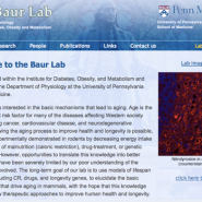 Baur Lab