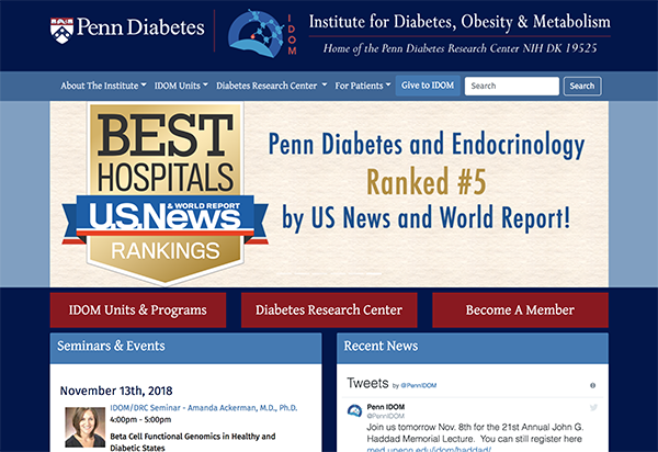 UPenn IDOM Website