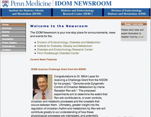 IDOM Newsroom