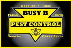 Busy B Pest Control Logo