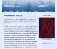 Joseph Baur Lab