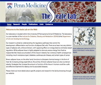 The Seale Lab